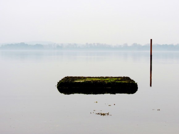 ???????????????????????????????